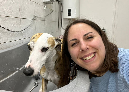 Guida alla Toelettatura dei Cani a pelo corto e pelo raso