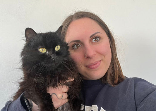 Abituare il tuo pet alla toelettatura: evitare stress e garantire la sicurezza del tuo peloso