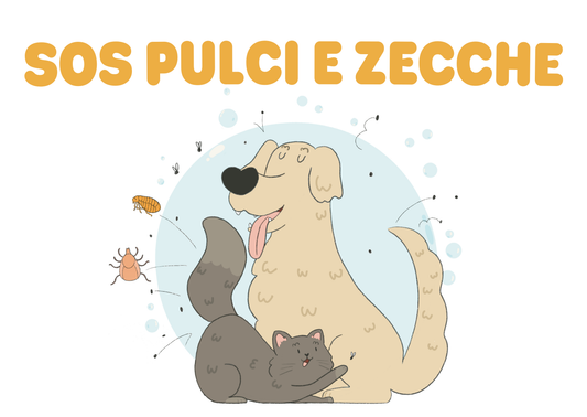 Pulci e zecche su cane e gatto: cosa fare subito (e cosa usare davvero)