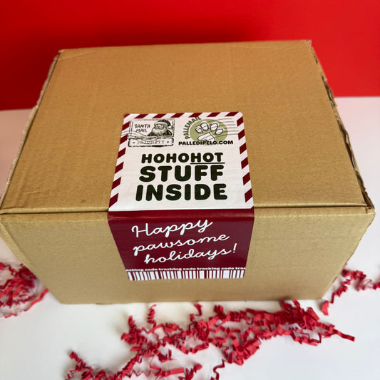 BOX NATALE TUITUI, per gatti