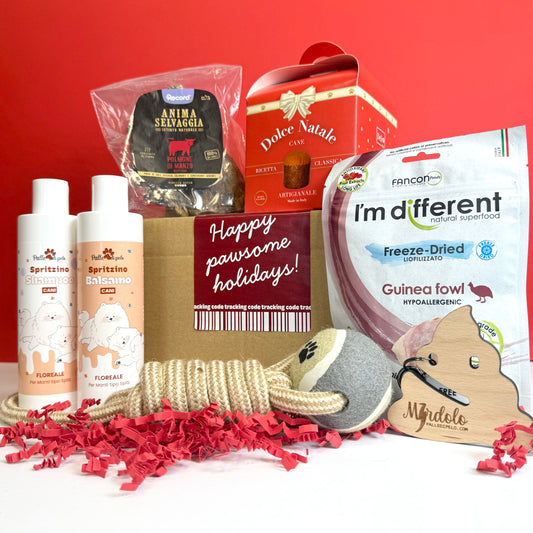 BOX NATALE SPRITZINO, per cani pelo tipo spitz e primitivo