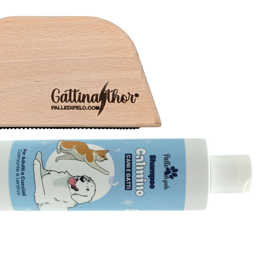 KIT PETTINATURA CANE PELO CORTO E RASO