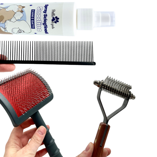 KIT PETTINATURA CANE PELO FRANGIATO