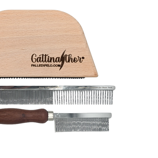 KIT PETTINATURA GATTO PELO CORTO