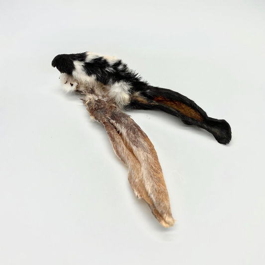 MASTICATIVO PER GATTI orecchie di coniglio 20gr