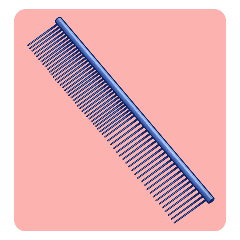 Pettini