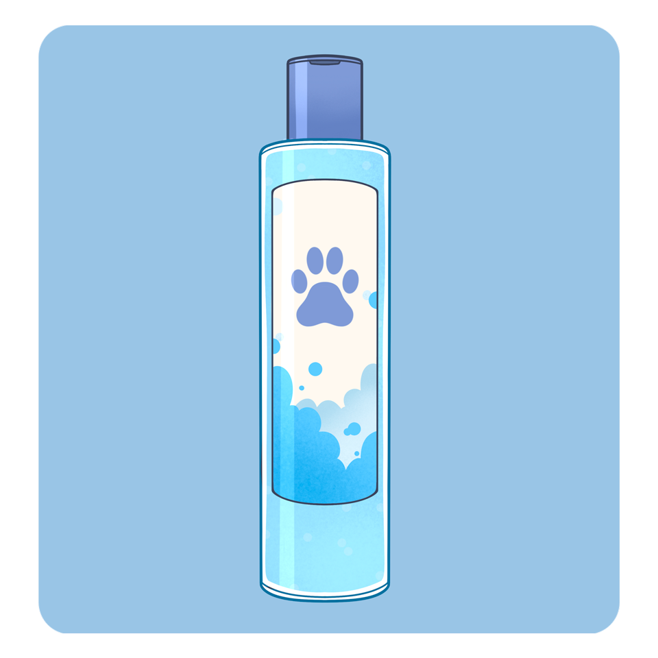 Shampoo