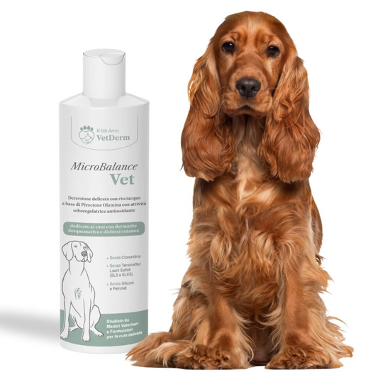 MICROBALANCE VET 250ml - shampoo dermatologico cane e gatto con Dermatiti Desquamative, con Sovrainfezione, Prurito e Cattivo Odore