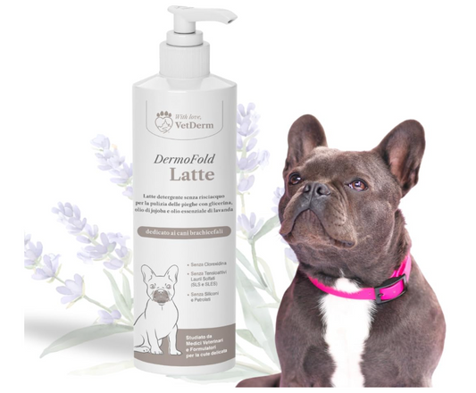 DermoFold Latte detergente per cani e gatti - no Risciacquo, per Pieghe Cutanee, Emolliente e Antiprurito