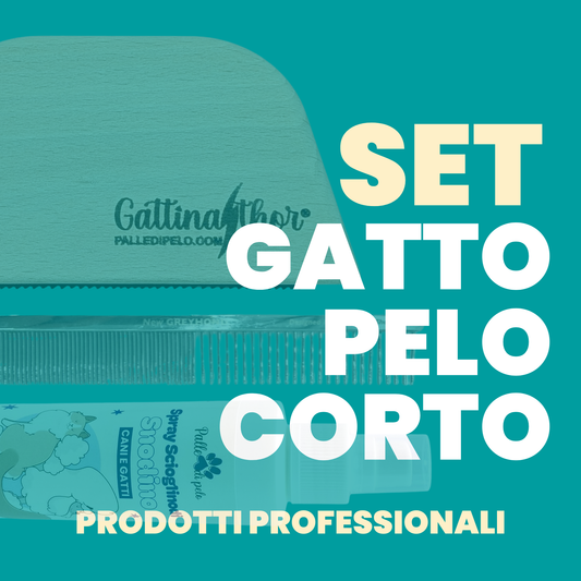 KIT PETTINATURA GATTO PELO CORTO