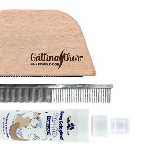 KIT PETTINATURA GATTO PELO CORTO