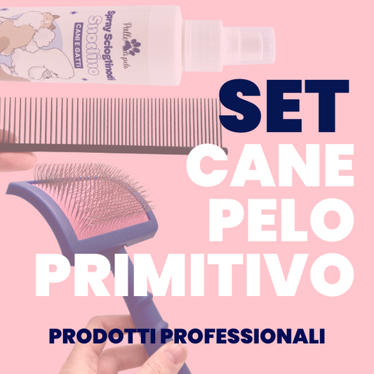 KIT PETTINATURA CANE PELO PRIMITIVO (Tipo PRIMITIVO)