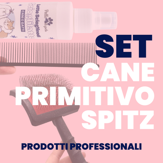 KIT PETTINATURA CANE PELO PRIMITIVO (Tipo SPITZ)