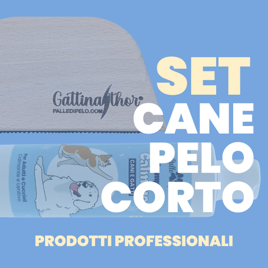 KIT PETTINATURA CANE PELO CORTO E RASO