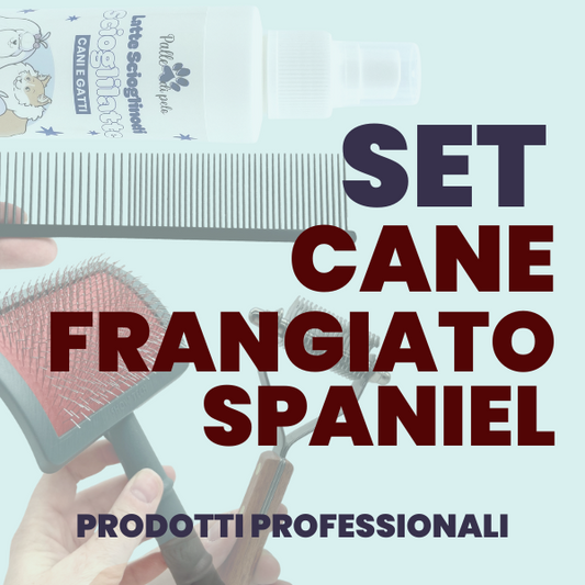 KIT PETTINATURA CANE PELO FRANGIATO (Tipo SPANIEL)