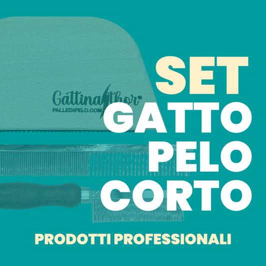 KIT PETTINATURA GATTO PELO CORTO