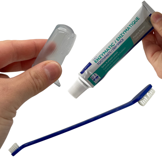 Kit igiene orale per cani e gatti