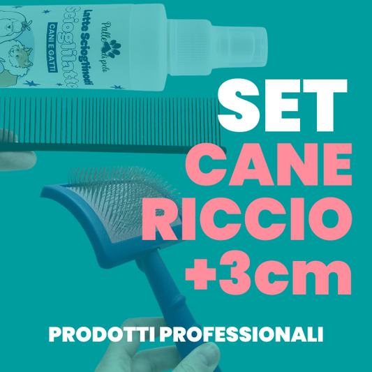 KIT PETTINATURA CANE PELO RICCIO (+3cm)