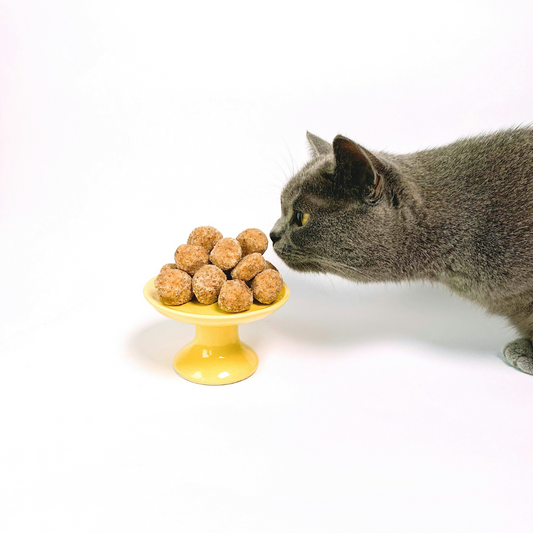 Come so se il mio gatto mangia bene?