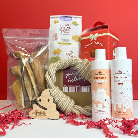 BOX NATALE SPRITZINO, per cani pelo tipo spitz e primitivo