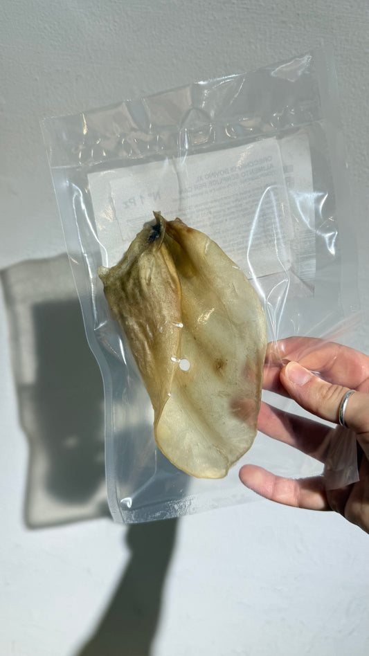MASTICATIVO PER CANI ORECCHIE DI MANZO 1pz