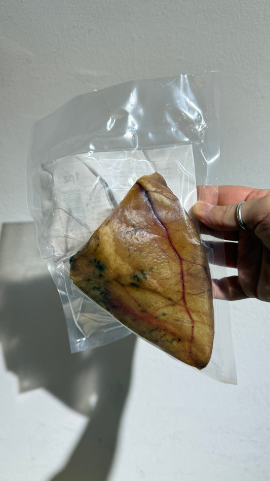 MASTICATIVO PER CANI ORECCHIE DI MAIALE 1pz