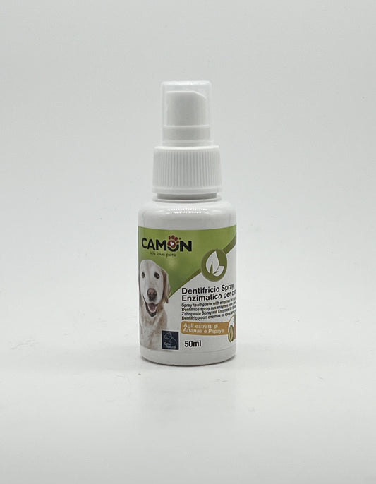 Spray dentale