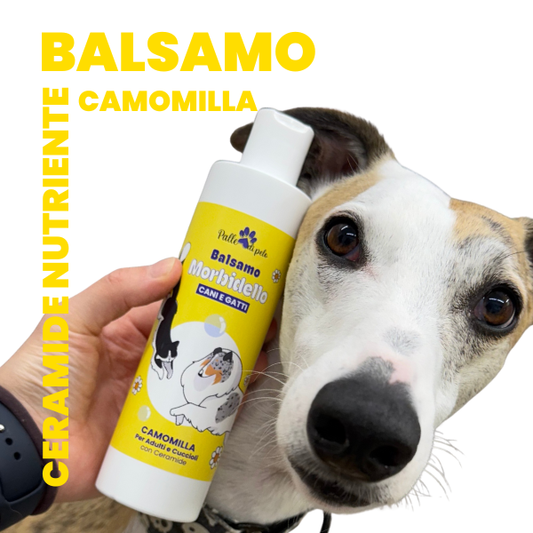 MORBIDELLO, balsamo alla ceramide per cani e gatti