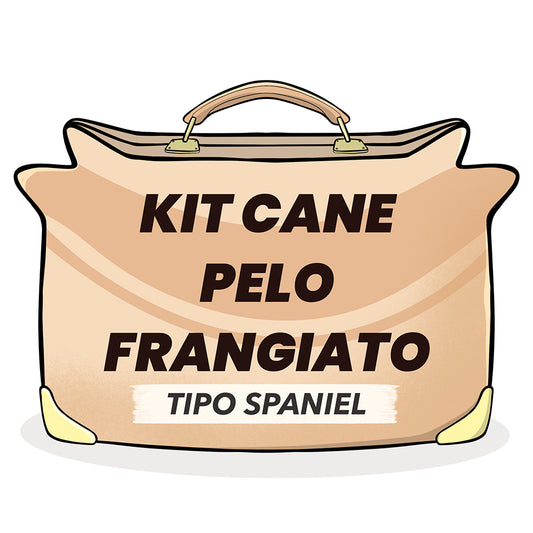 KIT PETTINATURA CANE PELO FRANGIATO (Tipo SPANIEL)