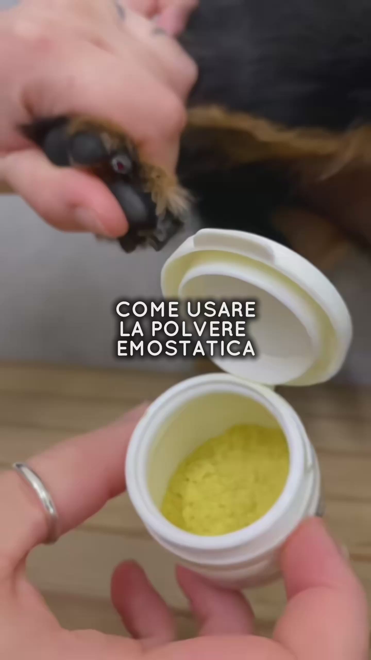 Polvere emostatica per bloccare piccole ferite per cani e gatti