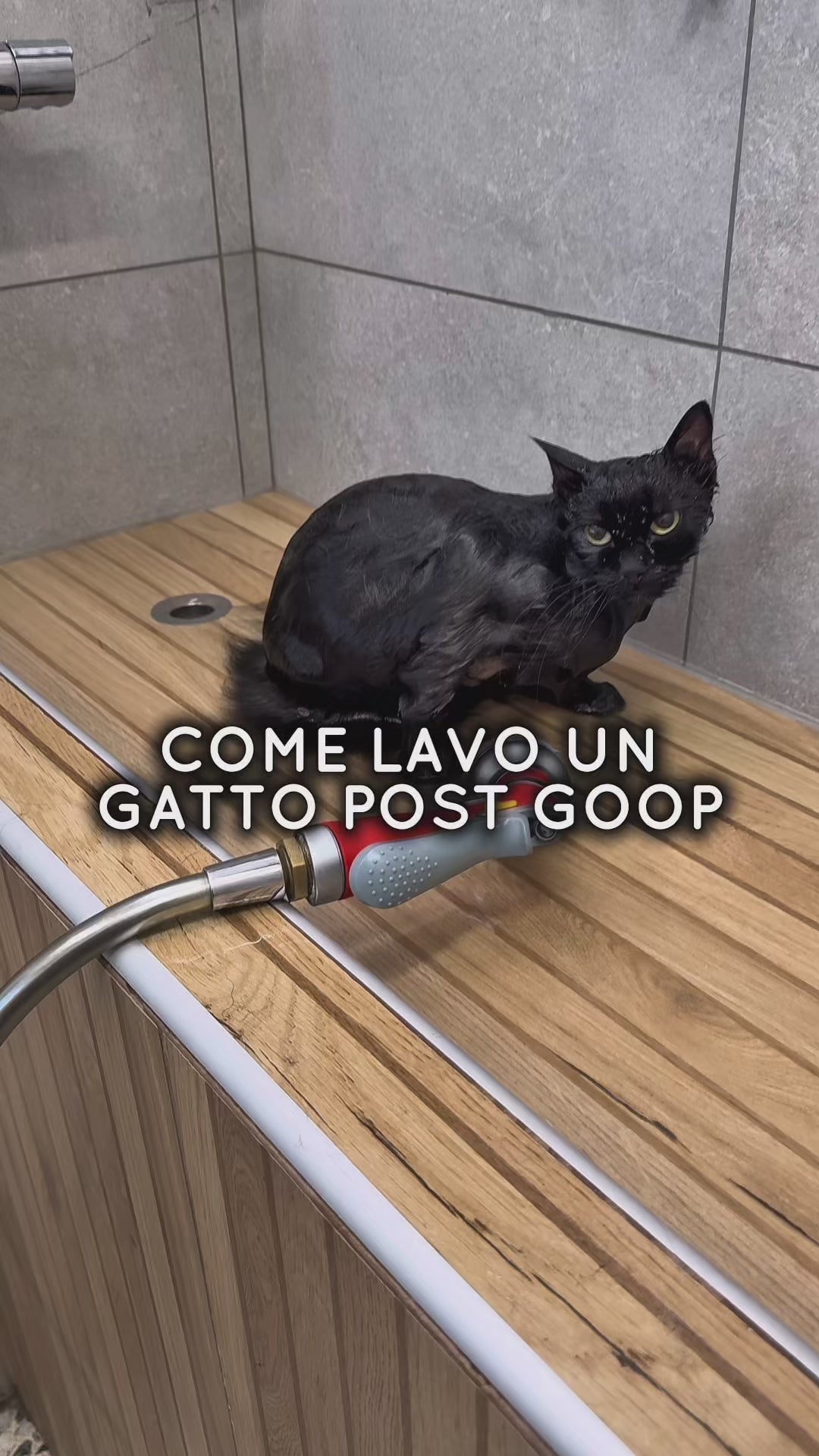 PASTA SGRASSANTE GOOP
