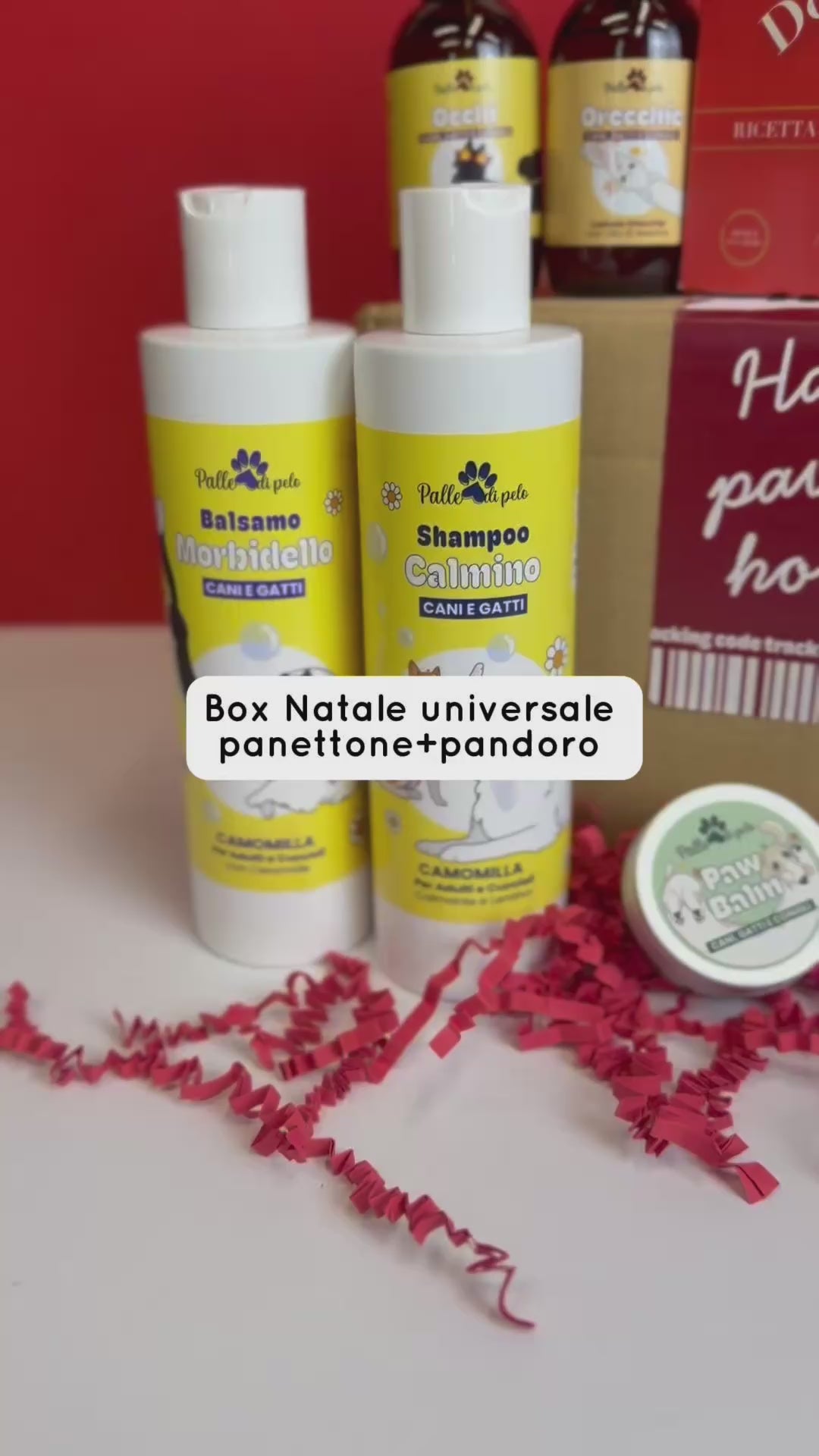 BOX NATALE UNIVERSALE, cane e gatto