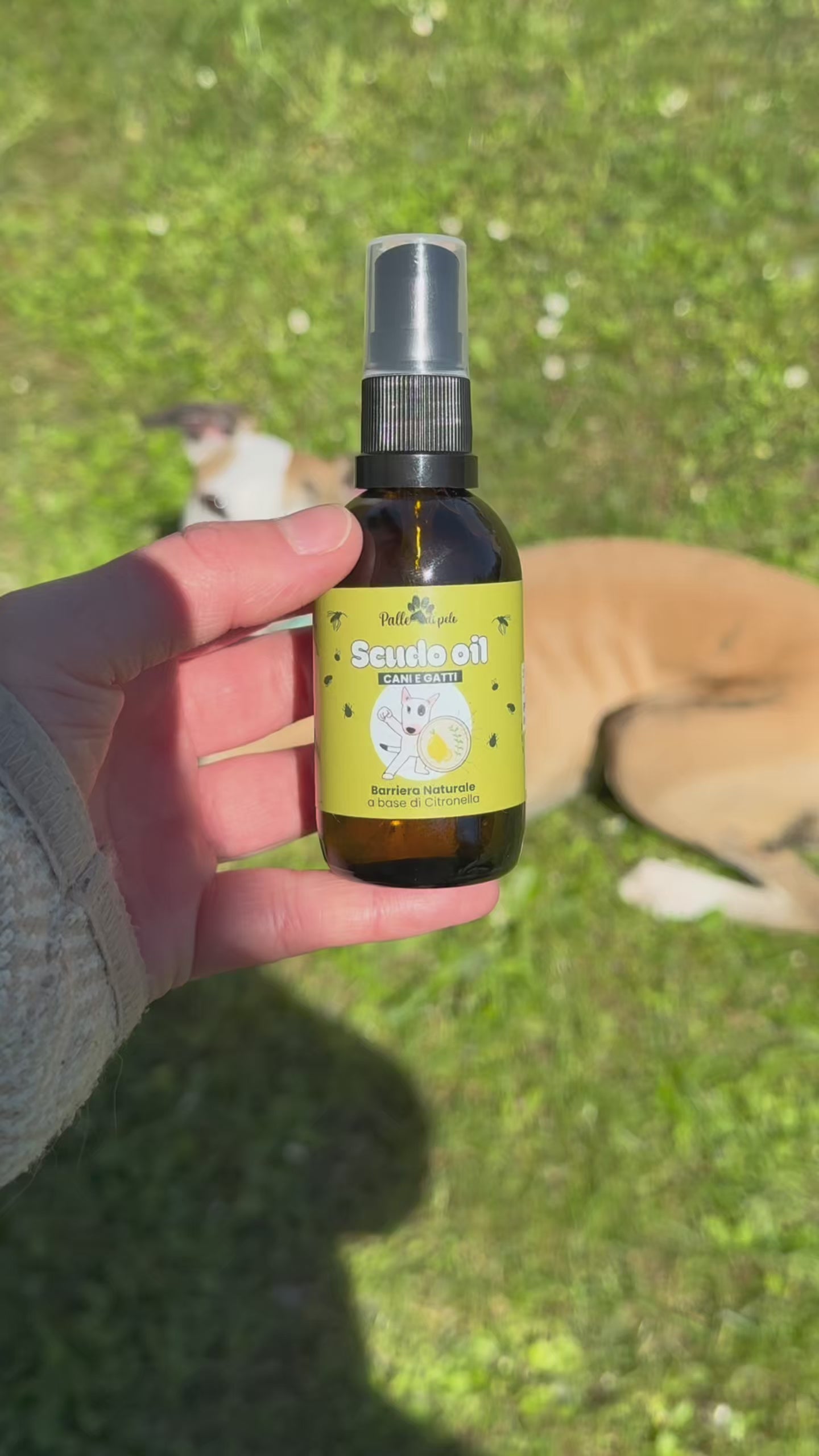 SCUDO OIL cani e gatti 50ml - scudo naturale contro insetti in olio secco (NON UNGE)