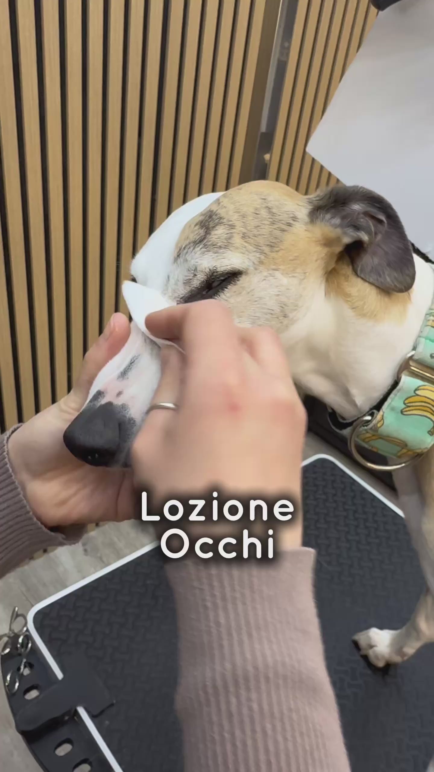 KIT CARE - OCCHI ORECCHE POLPASTRELLI (SENZA PROFUMAZIONI ULTRA DELICATA)