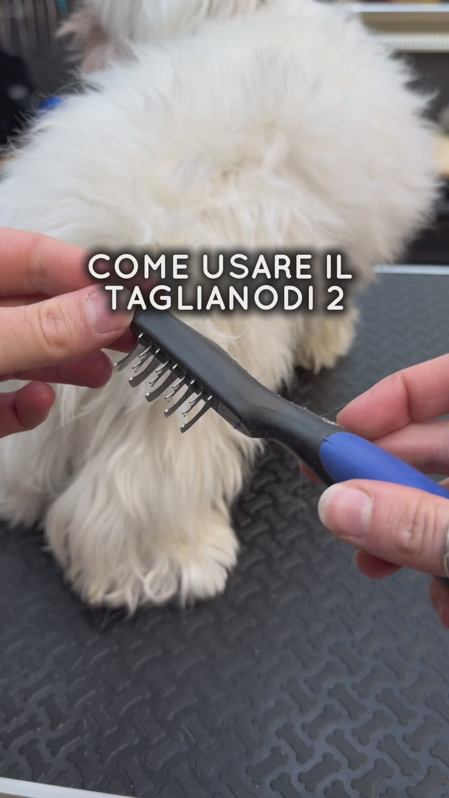 Taglianodi per cani e gatti