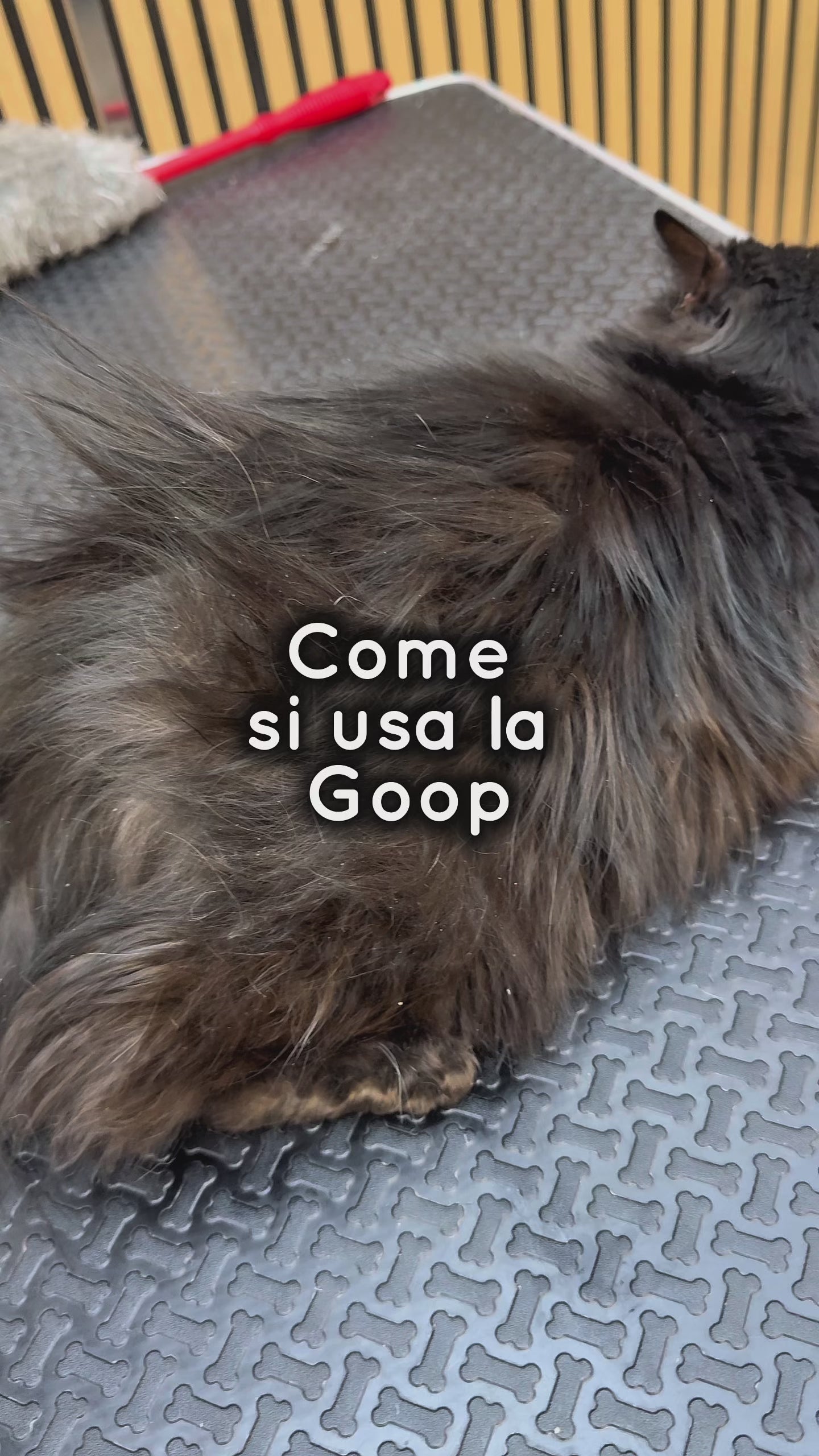 PASTA SGRASSANTE GOOP