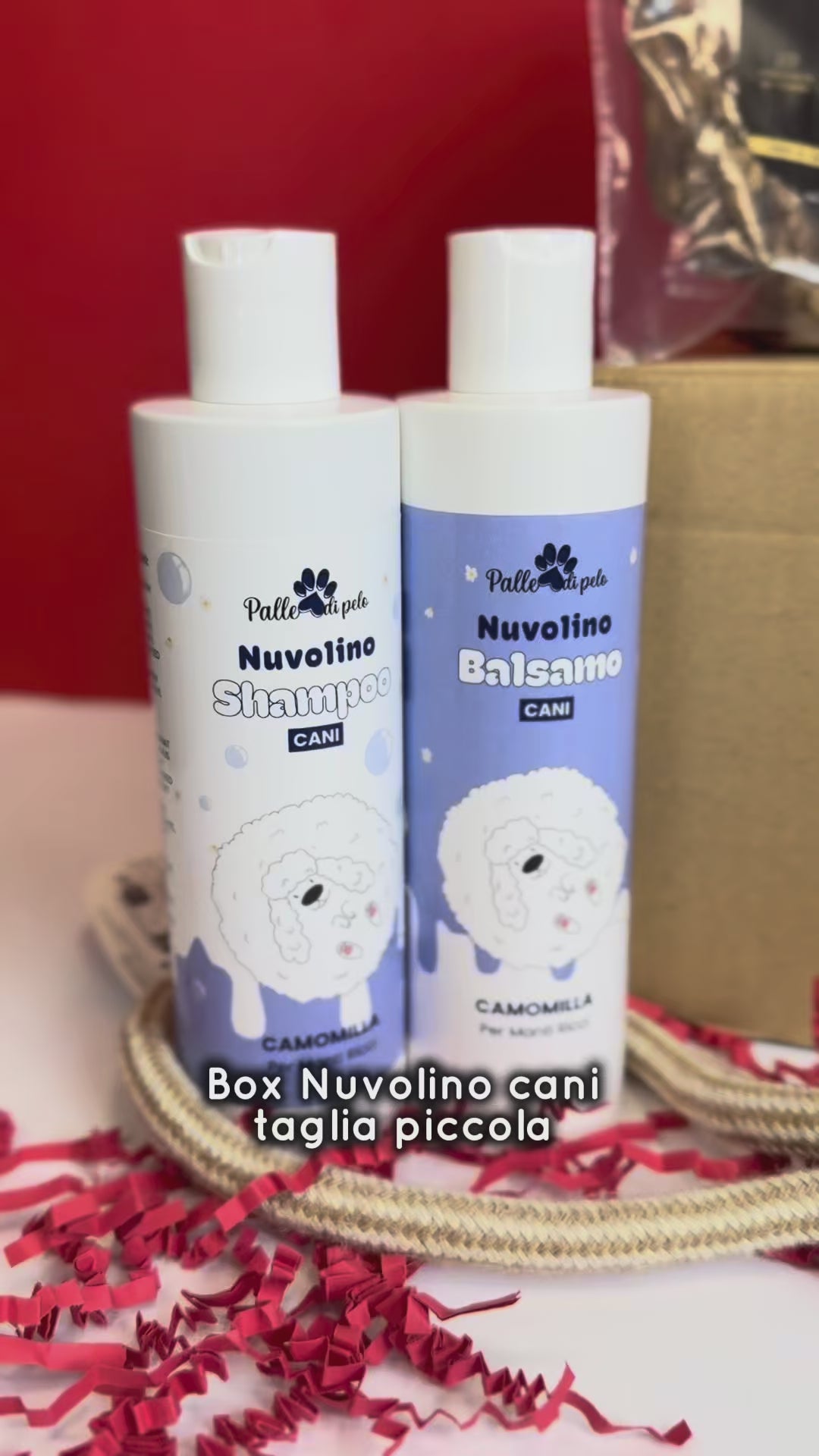 BOX NATALE NUVOLINO, per cani pelo riccio