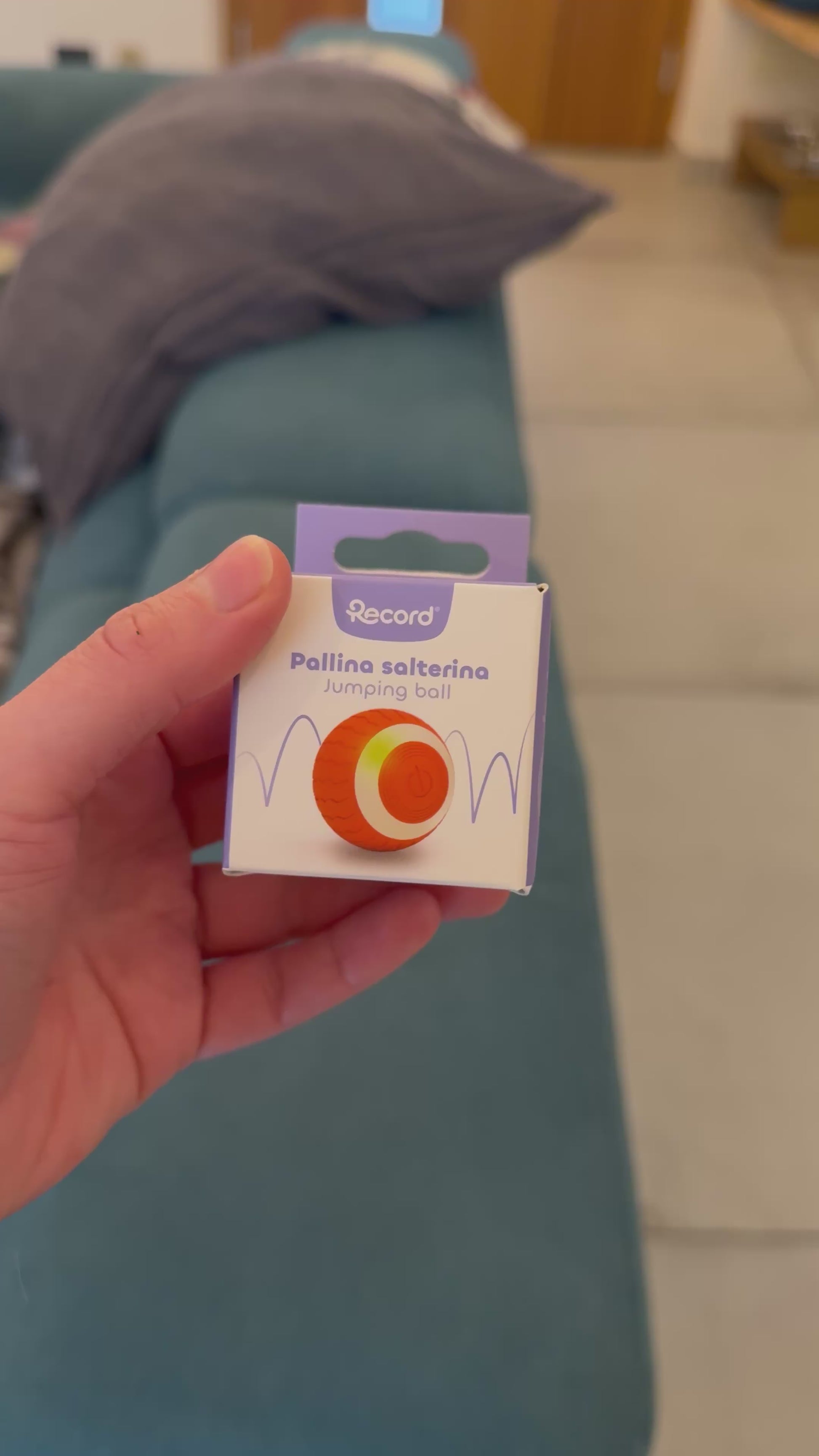 BOX NATALE TUITUI, per gatti