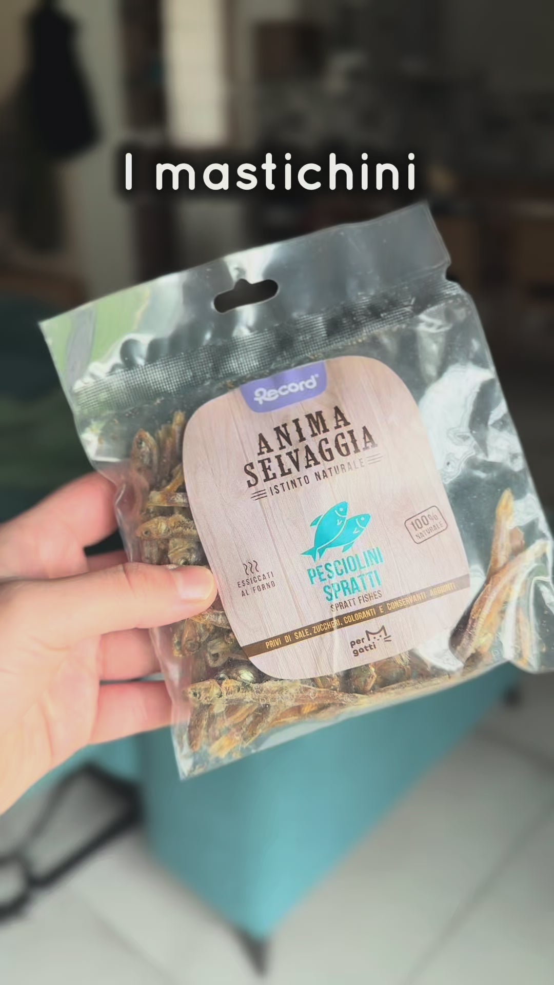 BOX NATALE TUITUI, per gatti