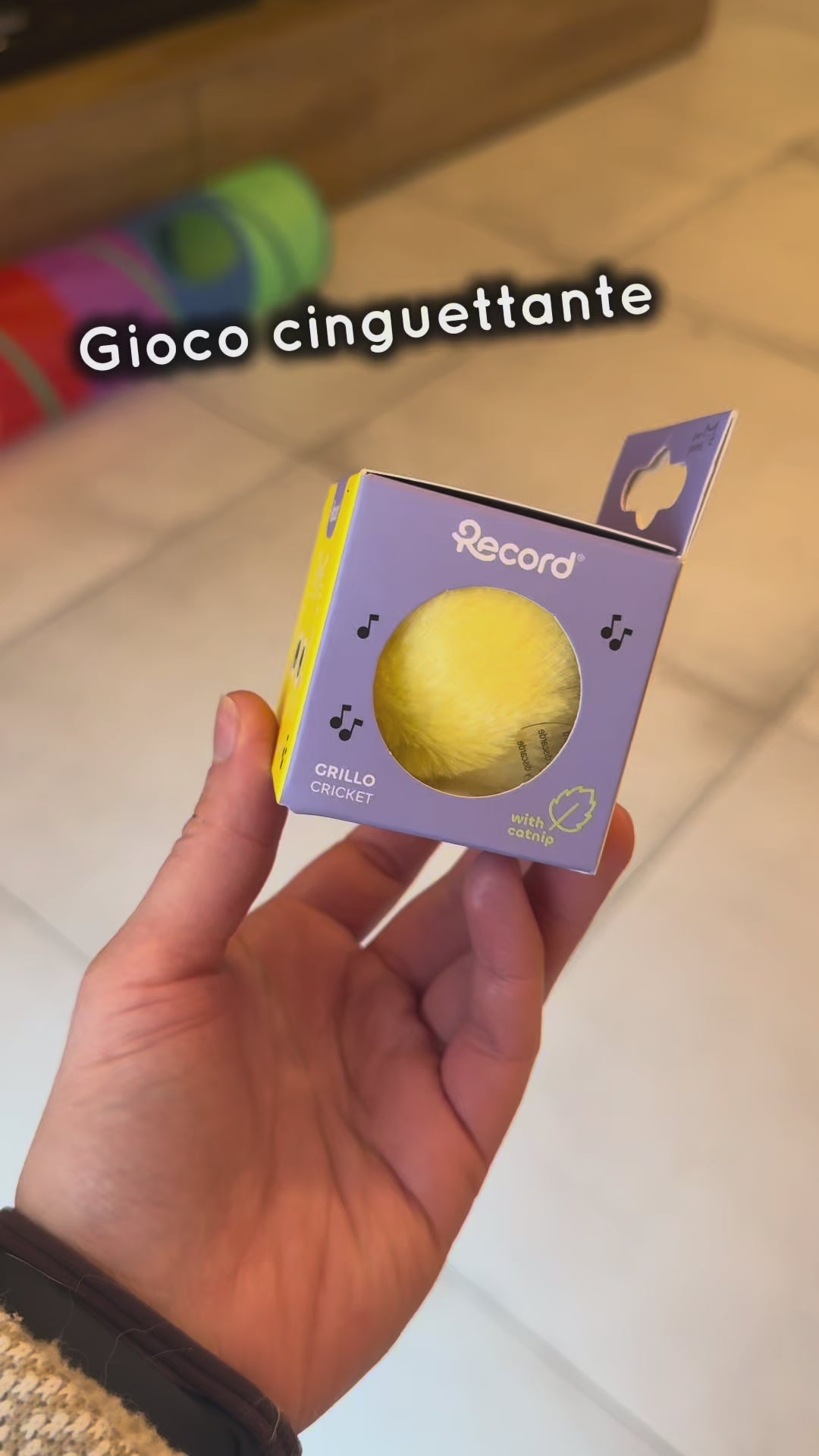 BOX NATALE TUITUI, per gatti