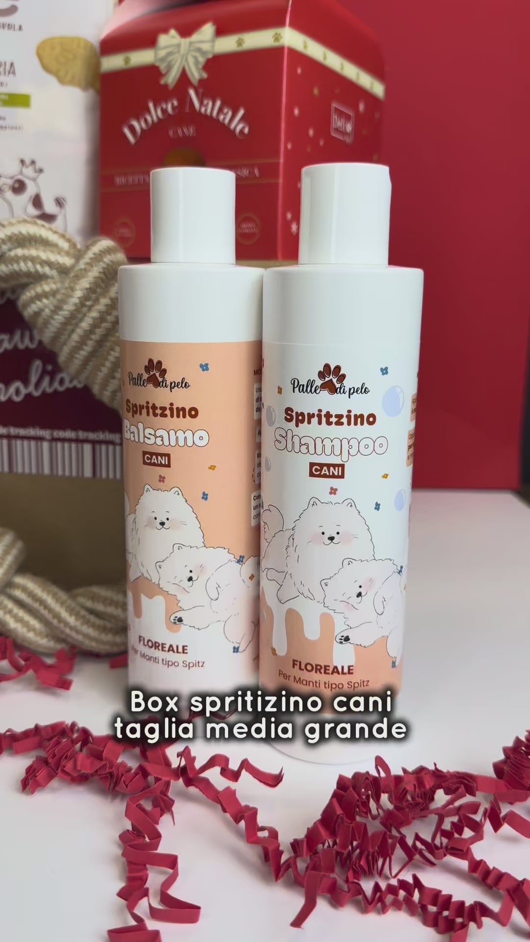 BOX NATALE SPRITZINO, per cani pelo tipo spitz e primitivo